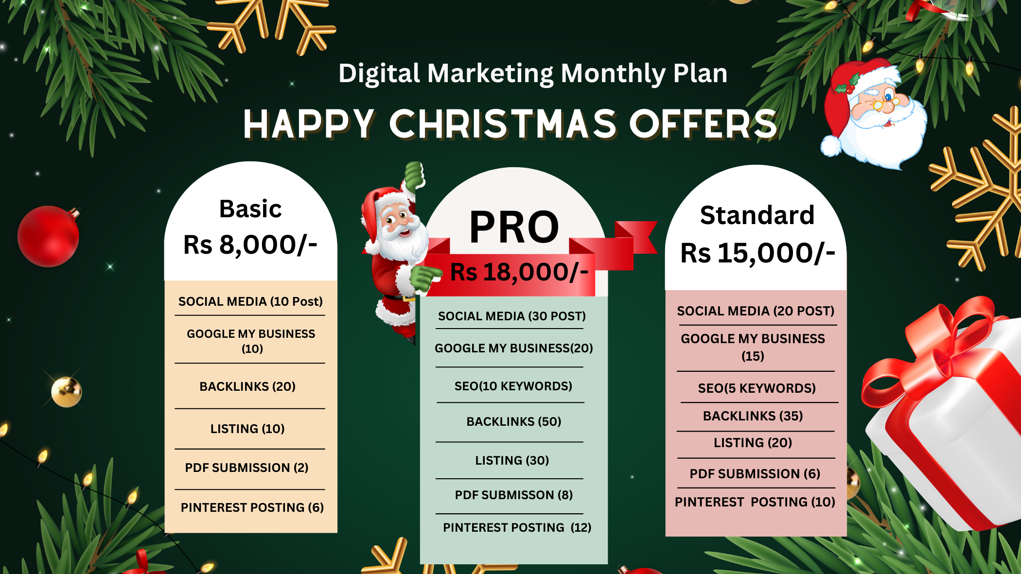 Christmas Digital Marketing Offer